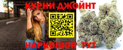 индика Новокубанск