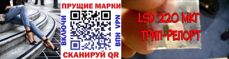 darknet как зайти  Гудермес  Марки NBOMe 1,5мг 