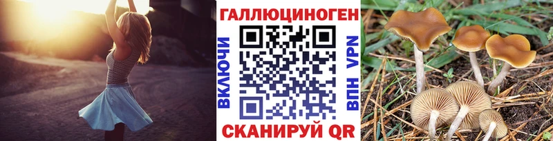 Галлюциногенные грибы прущие грибы Гудермес