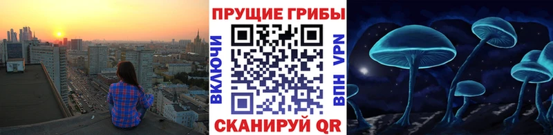Псилоцибиновые грибы мицелий  omg ТОР  Гудермес 