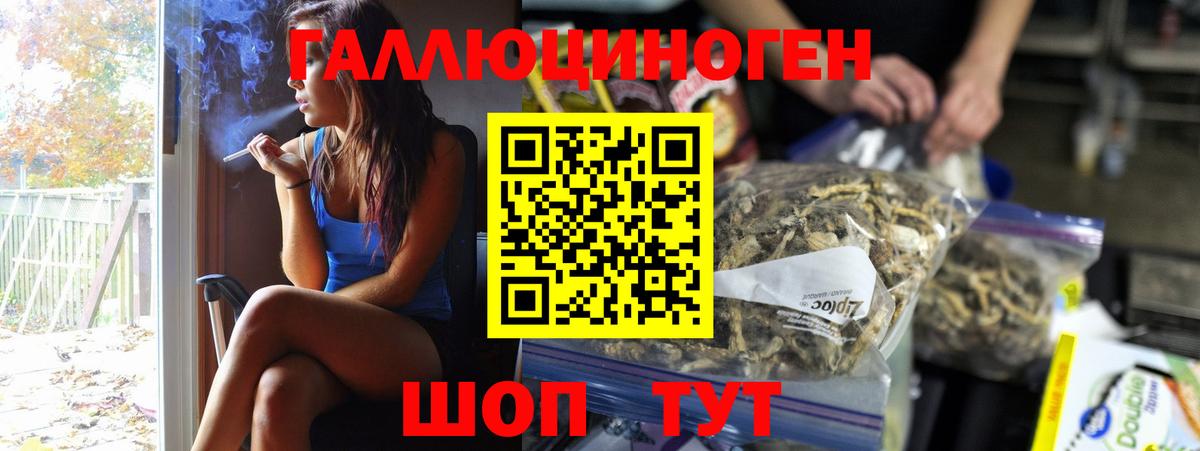 Псилоцибиновые грибы Magic Shrooms  Вход с VPN  Псилоцибиновые грибы мухоморы  Гудермес 